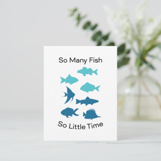 魚の淡水が非常に多い (スタンド正面)