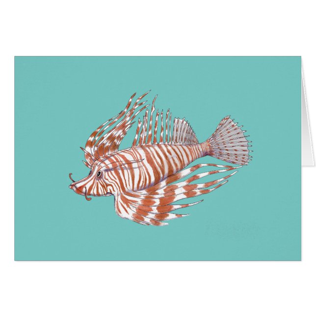 魚の満州語 (正面横)