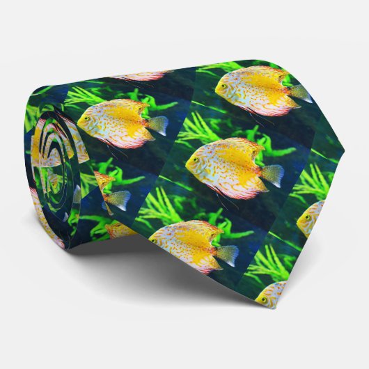 魚の溝 ネクタイ (ロール)