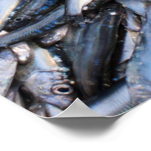 魚の漁獲量 ポスター (角)