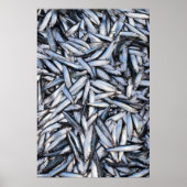 魚の漁獲量 ポスター (正面)