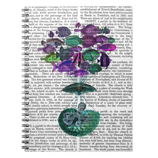 魚の熱気球の飛行 ノートブック (正面)