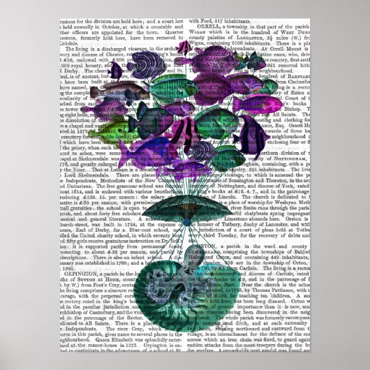 魚の熱気球の飛行 ポスター (正面)