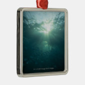 魚の珊瑚礁そして学校で照るライト メタルオーナメント (右)