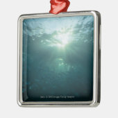 魚の珊瑚礁そして学校で照るライト メタルオーナメント (左)