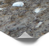 魚の皮 ポスター (角)