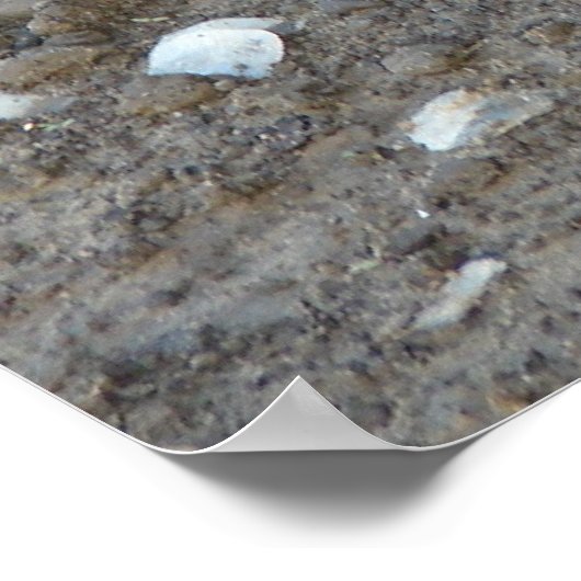 魚の皮 ポスター (角)