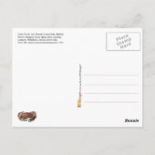 魚の種違う類の表示 ポストカード (裏面)