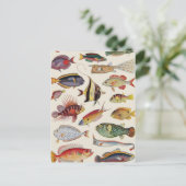 魚の種類 ポストカード (スタンド正面)