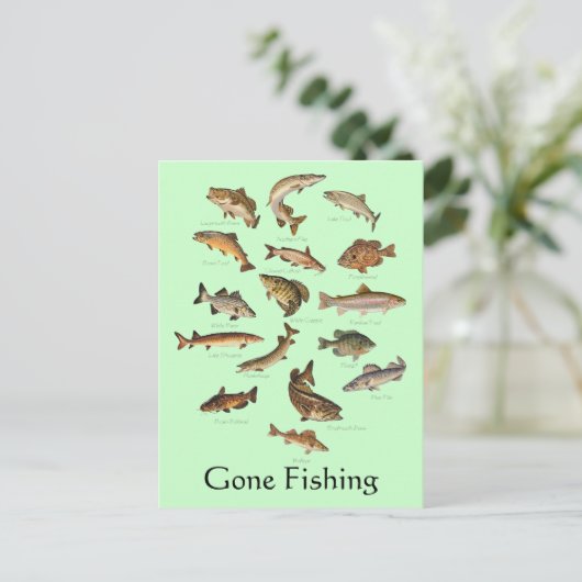 魚の種「消えた魚釣り」はがき ポストカード (スタンド正面)