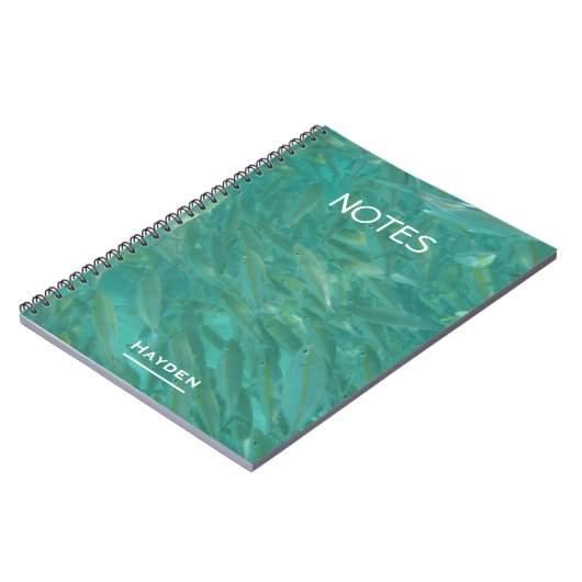 魚の糞 ノートブック (左側)