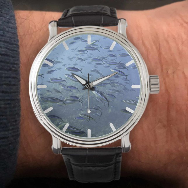 魚の群れ水中でダイビング。 腕時計 (クリエイターアップロード済み)