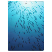 魚の群れ クリップボード (裏面)