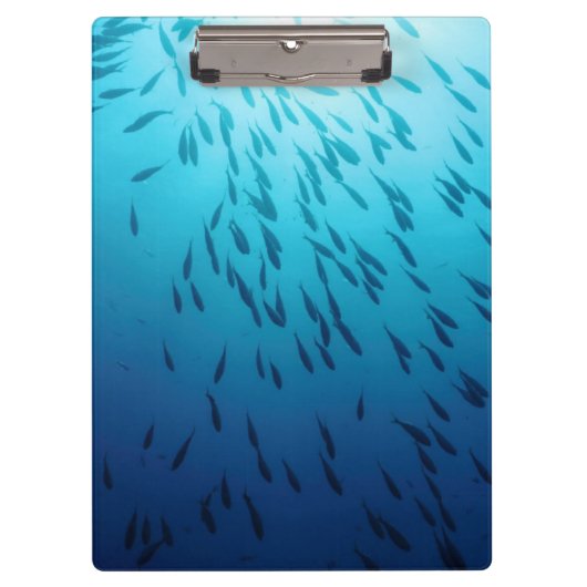 魚の群れ クリップボード (正面)