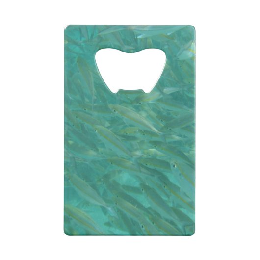 魚の群れ クレジットカード栓抜き (裏面)