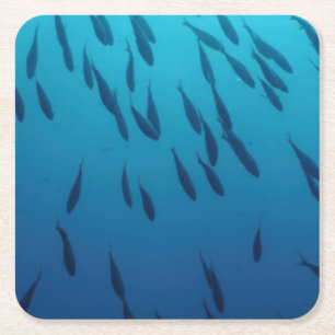 魚の群れ スクエアペーパーコースター