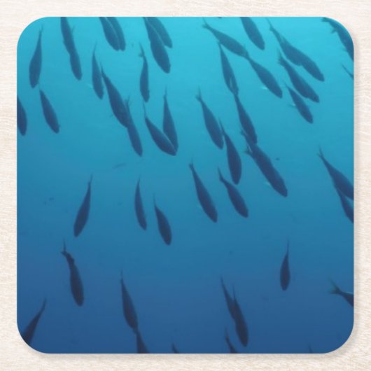 魚の群れ スクエアペーパーコースター (正面)