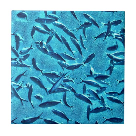 魚の群れ タイル (正面)