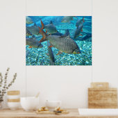 魚の群れ ポスター (キッチン)