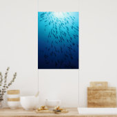 魚の群れ ポスター (キッチン)