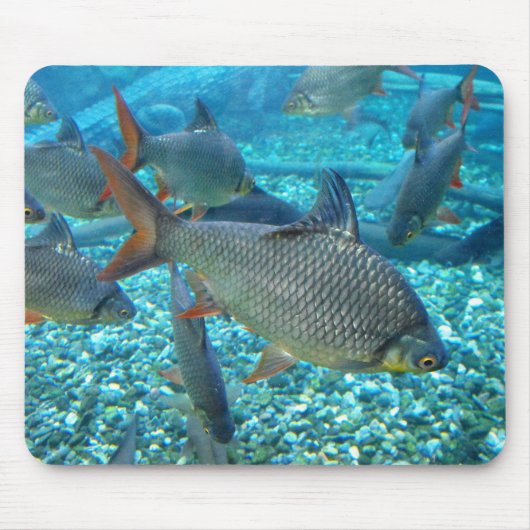 魚の群れ マウスパッド (正面)