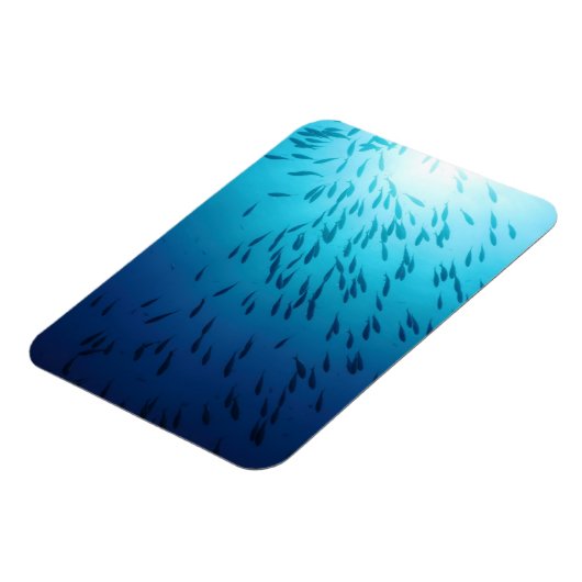 魚の群れ マグネット (左側)