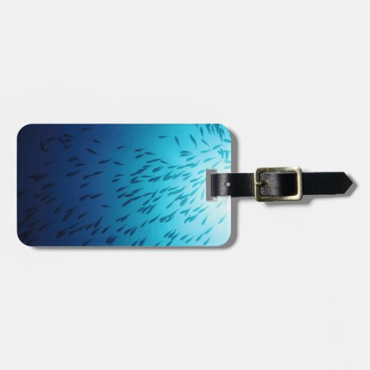 魚の群れ ラゲッジタグ (正面横)