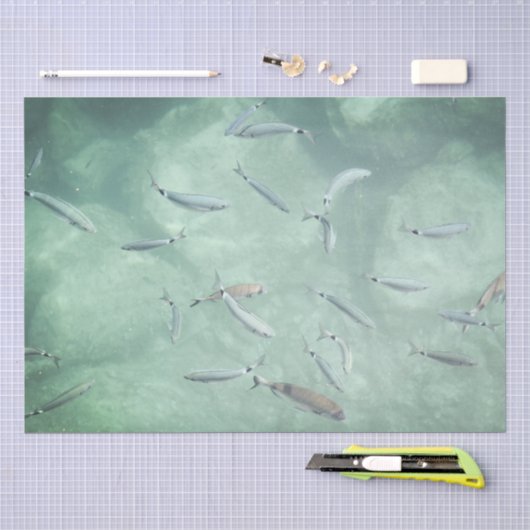 魚の群れ 薄葉紙 (クラフト)