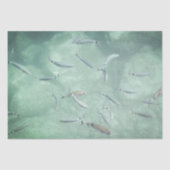 魚の群れ 薄葉紙 (正面)