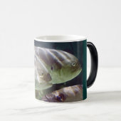 魚の芸術はマグを変形させます モーフィングマグカップ (正面右)