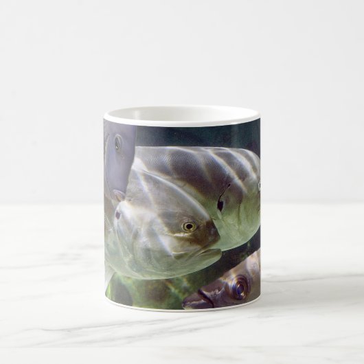 魚の芸術はマグを変形させます モーフィングマグカップ (中央)