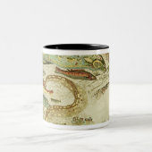 魚の詳細、Vega Bajaからの4季節、 ツートーンマグカップ (中央)
