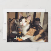 魚の贈り物を入れた三毛猫フラットカード 招待状 (正面)