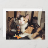 魚の贈り物を入れた三毛猫フラットカード 招待状 (正面/裏面)