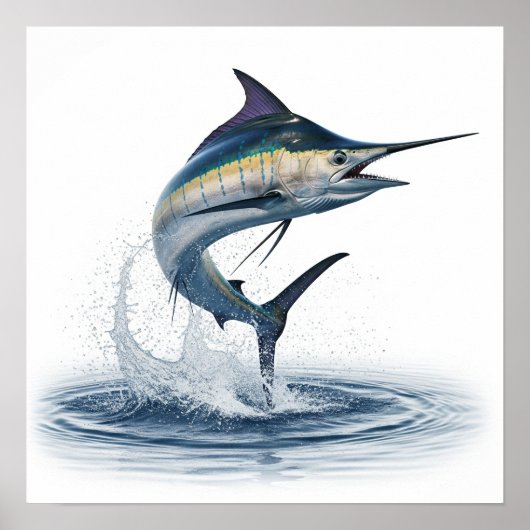 魚の跳躍 ポスター (正面)