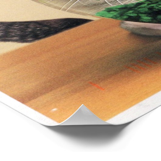 魚の鉢の中を覗く猫 ポスター (角)