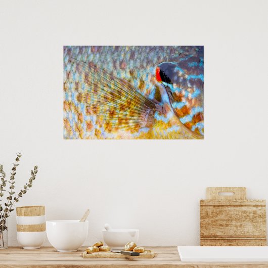 魚の閉じはかりで測込め ポスター (キッチン)