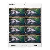 魚の頭 ラベル (フルシート)