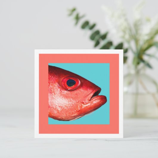 魚の頭 招待状 (スタンド正面)