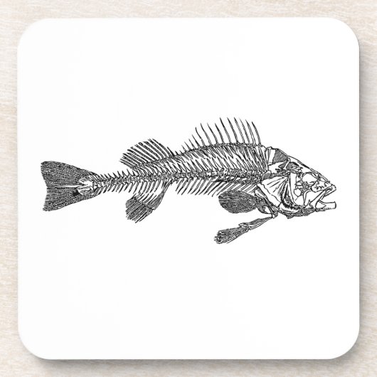 魚の骨格 コースター (正面)
