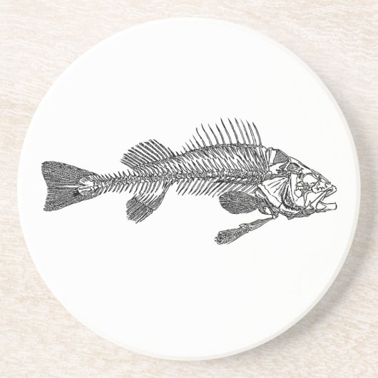魚の骨格 コースター (正面)