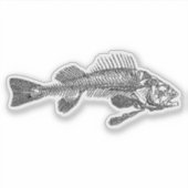 魚の骨格 シール (正面)