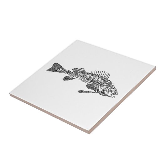 魚の骨格 タイル (側面)