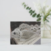 魚の骨格 ポストカード (スタンド正面)