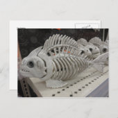 魚の骨格 ポストカード (正面/裏面)