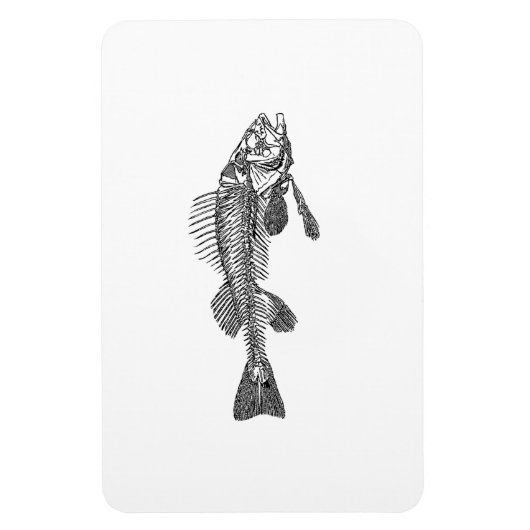 魚の骨格 マグネット (縦)