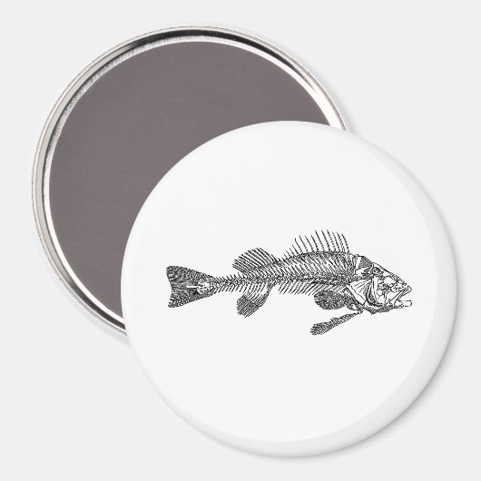 魚の骨格 マグネット (正面/裏面)