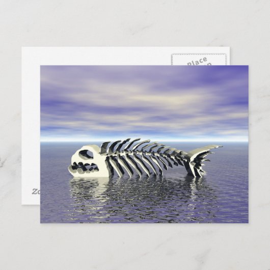 魚の骨 ポストカード (正面/裏面)