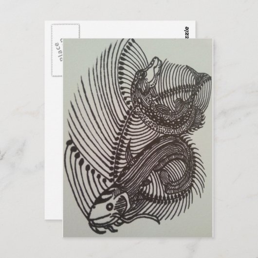 魚の骨 ポストカード (正面/裏面)