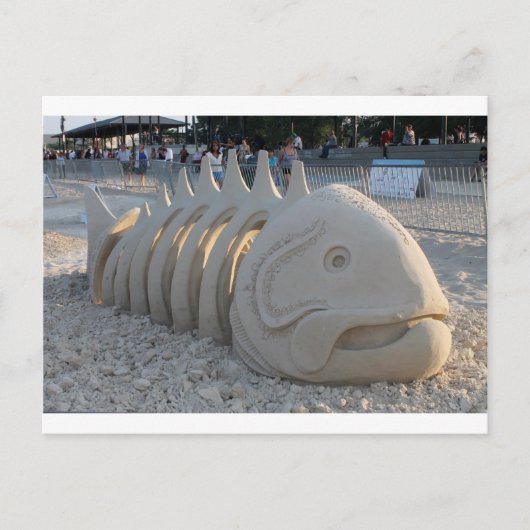 魚の骨 ポストカード (正面)